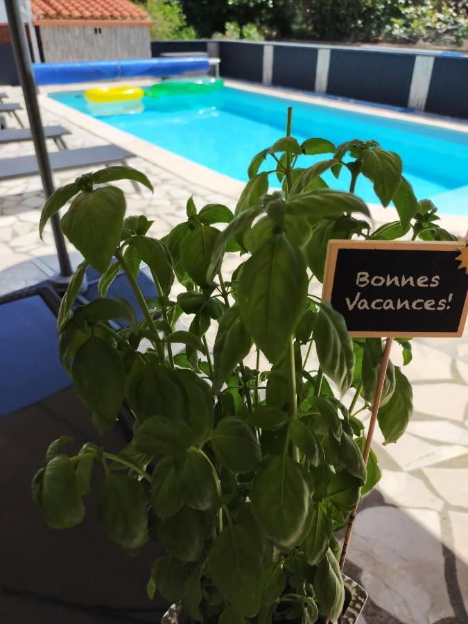 Climatisé L'oisellerie *